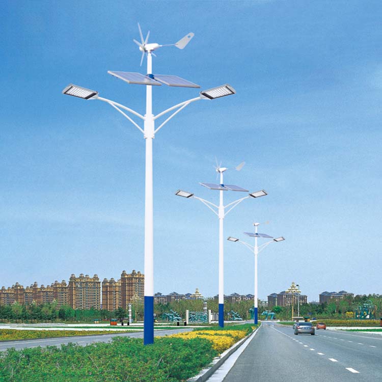 Outdoor Solar & Wind Power Street Lamp