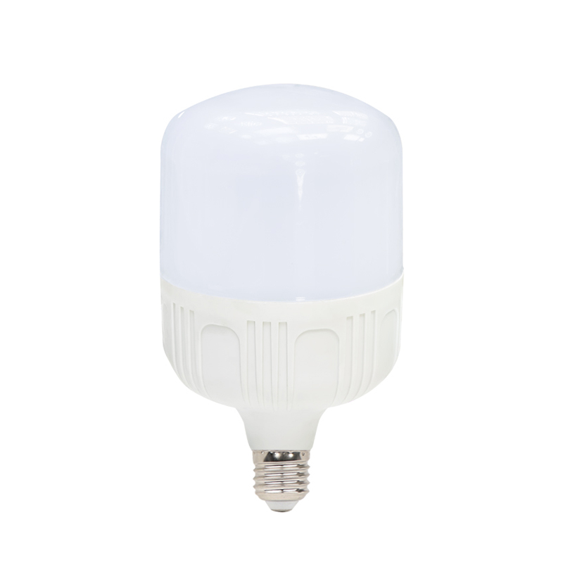 LED Light Bulb-T Bulb 